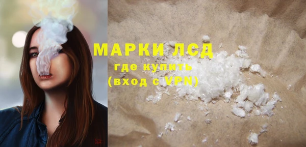 гидра Мегион