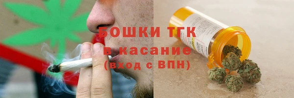 гидра Мегион