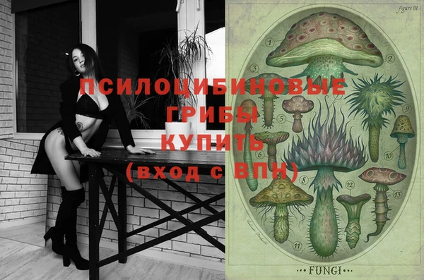 PSILOCYBIN Медногорск