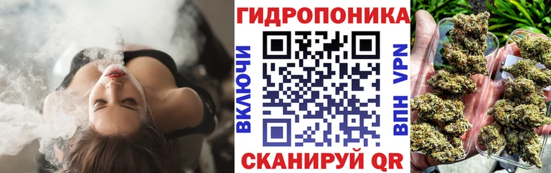 Конопля индика  Сычёвка 
